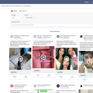 Niche Scraper: Ad Spy-Dashboard mit TikTok- und Facebook-Anzeigenanalysen.